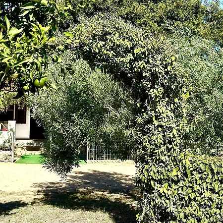 Casa Flores Дом отдыха