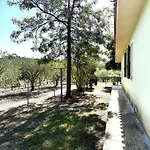 Casa Flores *