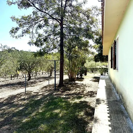 Casa Flores *