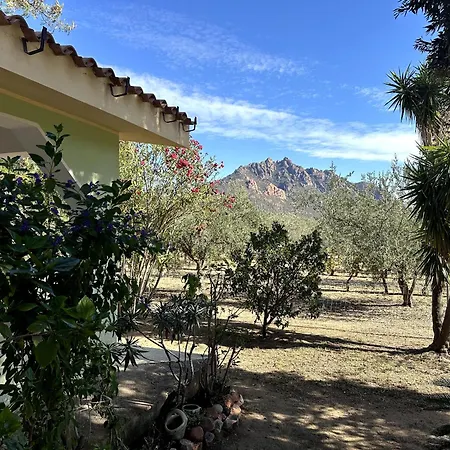 Casa Flores Dom wakacyjny