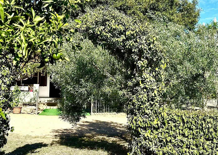 Casa Flores Dom wakacyjny