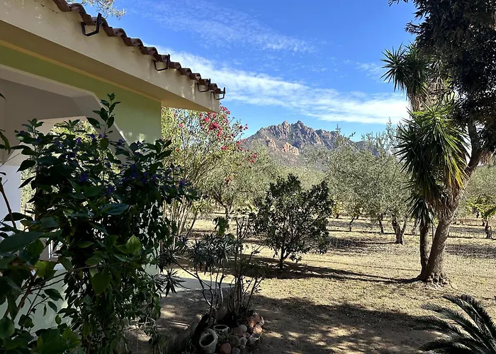 Casa Flores Dom wakacyjny